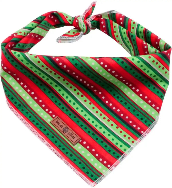 Lionet Paws Dog Bandana for Small Medium Large Dogs, Cat Kerchief Blue DOIT, Triangle Bibs Scarf for Girl or Boy14