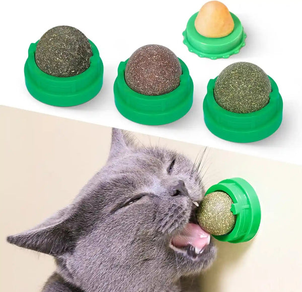 Potaroma Catnip Toys Balls 4 Pcs with Extra Cat Energy Ball | Edible Kitten Catnip Silvervine Toys for Cats Lick, Healthy Kitty Teeth Cleaning Dental Chew Toys, Cat Wall Treats (Green)1