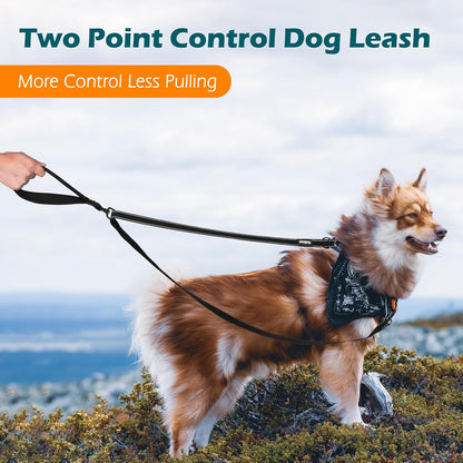Petbonus Two Point Control Dog Leash, No Tangle Training Walking Leashes | Soft Padded Handle, Reflective, Works with No Pull Harnesses, Converts to Single Lead for Medium Large Dogs, Black2