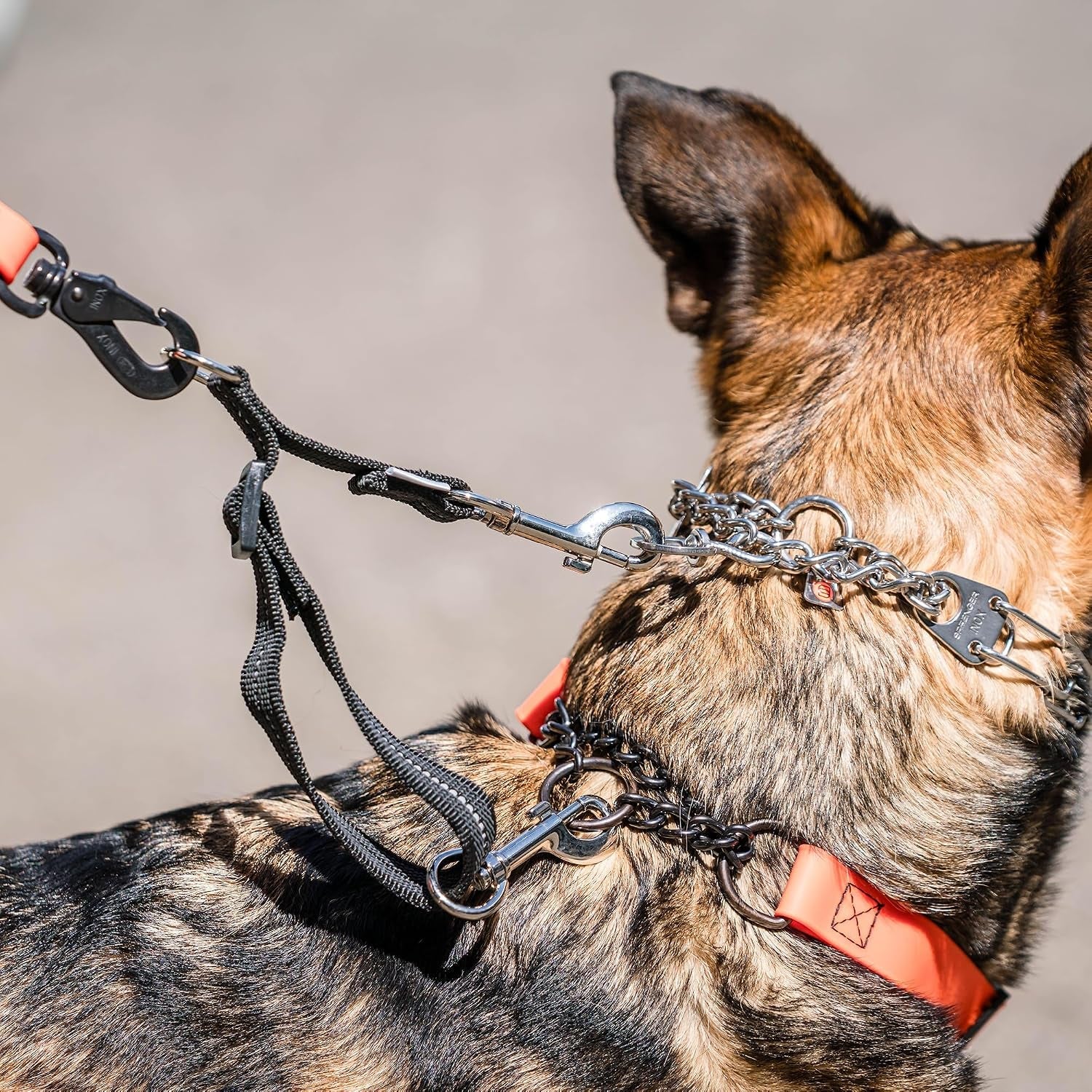 herm-sprenger-adjustable-coupling-strap-reflective-nylon-2-way-dog-leash-coupler-with-nickel-plated-swivel-clip-safety-backup-strap-for-prong-flat-collars-red