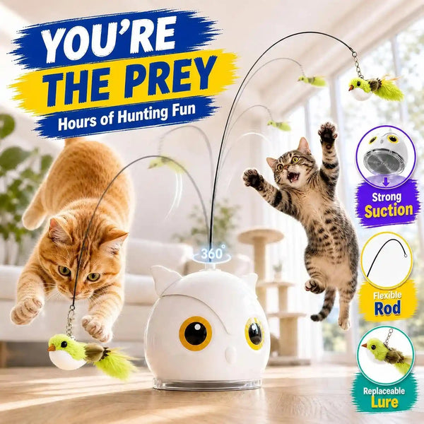 Interactive Cat Toys for Indoor Cats - Automatic Flying Bird Feather Toy with Sticky Suction Base, USB Rechargeable 360° Electric Cat Teaser, Touch Activated Self-Play Toy for Bored Cats3