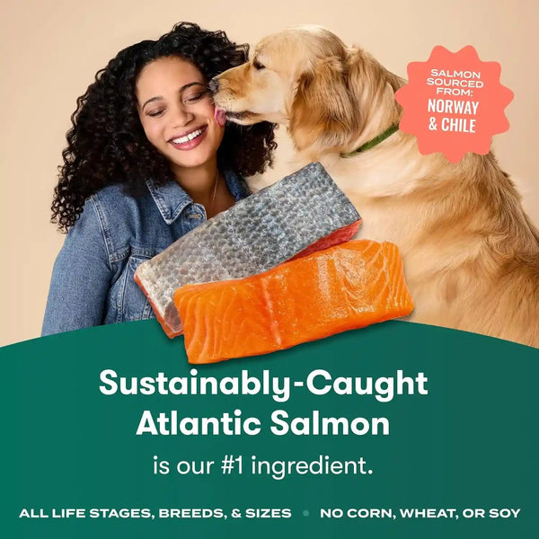 Jinx Dry Dog Food - Real Salmon, Brown Rice & Sweet Potato, 4Lb | Premium Kibble for Digestive Support & Healthy Immunity - No Fillers, All Lifestages (Puppy, Adult & Senior), Breeds & Sizes2
