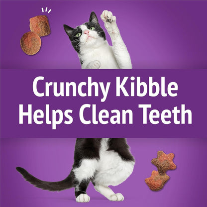 Purina Friskies Cat Treats, Party Mix Gravy-Licious Crunch Turkey and Gravy Flavors - (Pack of 6) 6 Oz. Pouches5