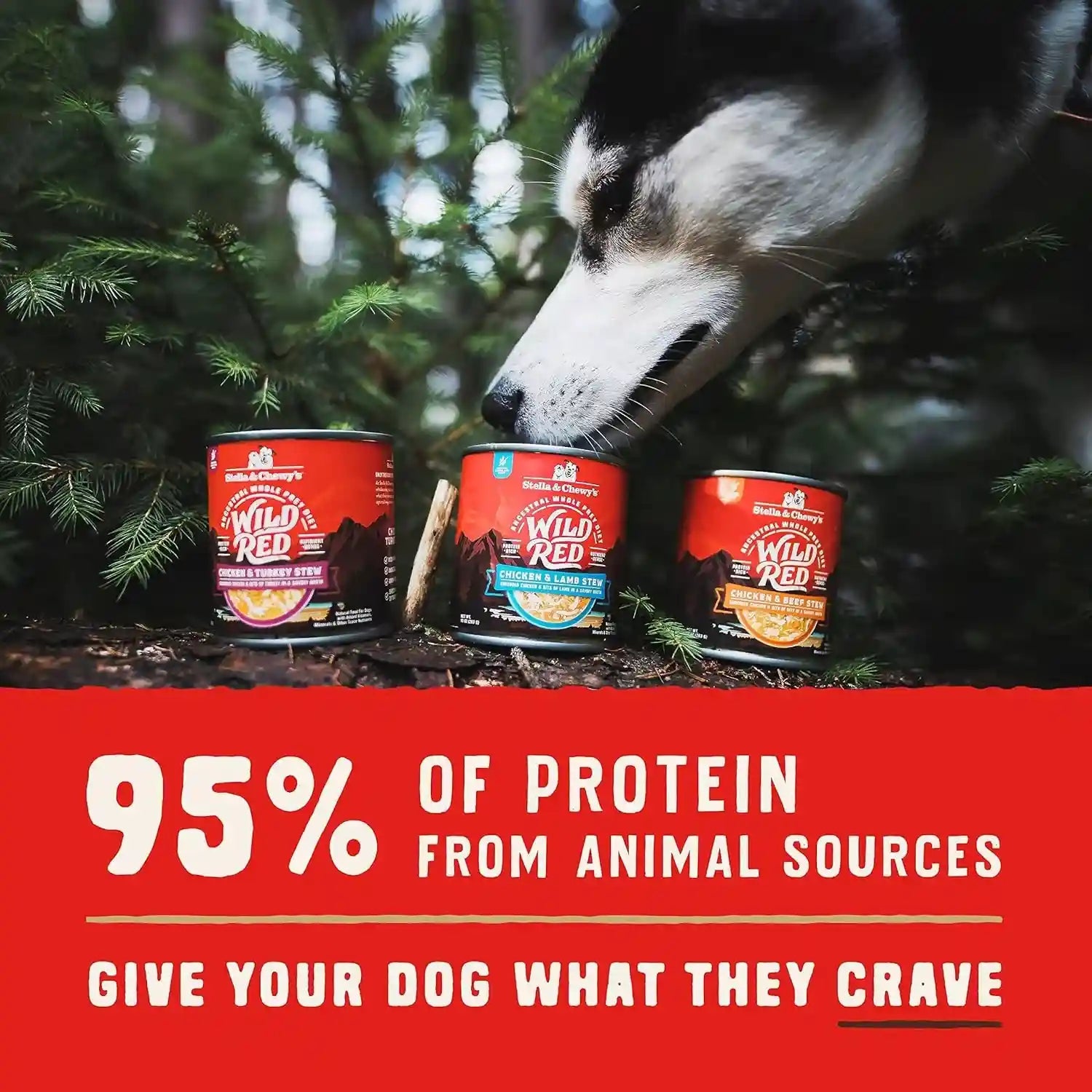 stella-chewys-wild-red-wet-dog-food-variety-pack-stews-high-protein-recipes-10-ounce-pack-of-3