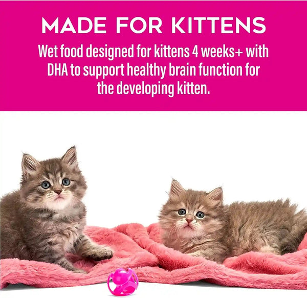 Tiki Cat Baby Pate Wet Cat Food for Kittens Variety Pack, 2.4 Oz. Cans (12 Count)10