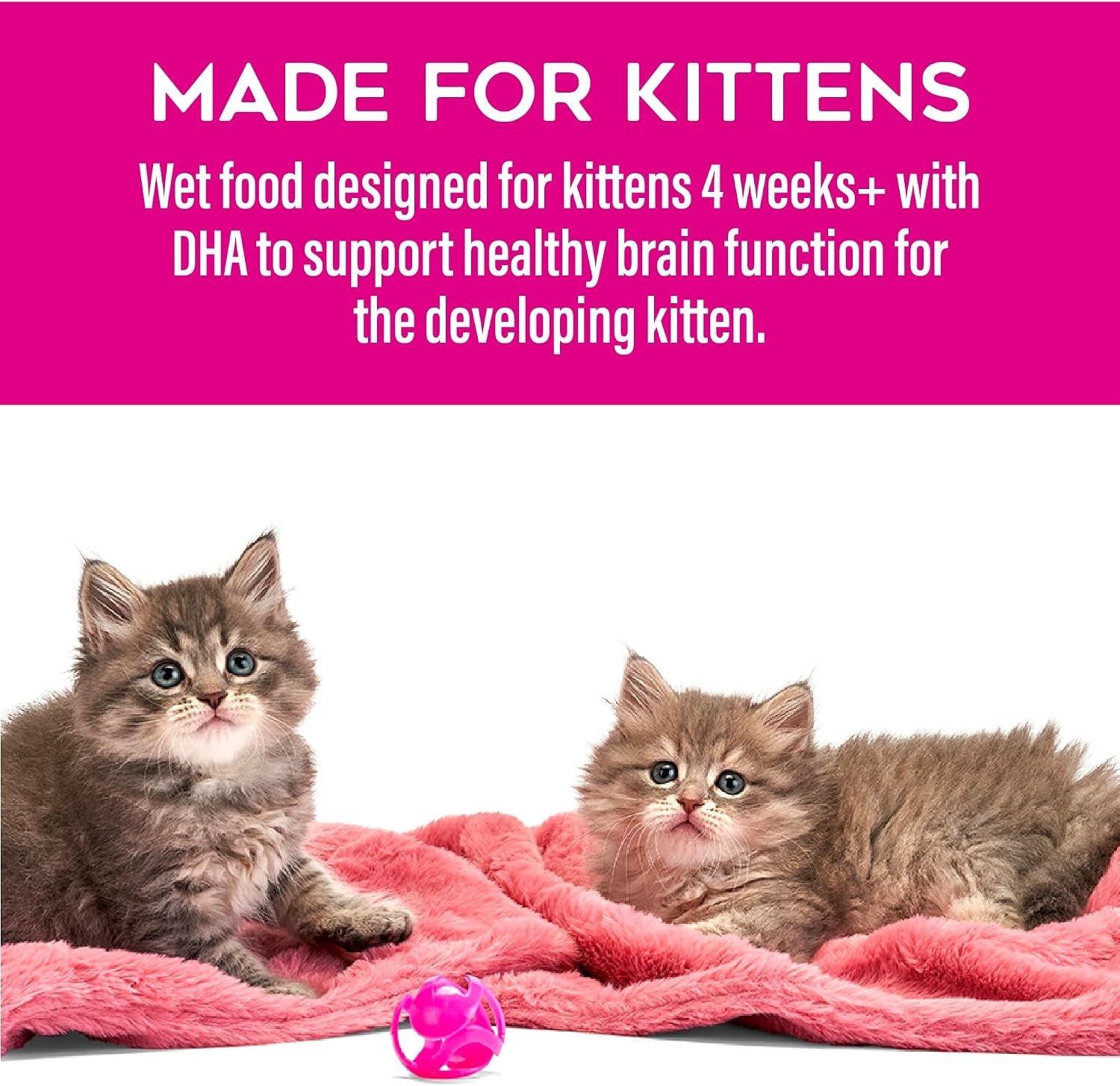 tiki-cat-baby-pate-wet-cat-food-for-kittens-variety-pack-2-4-oz-cans-12-count
