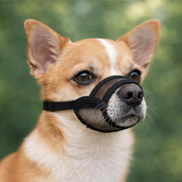 Dog Muzzle Medium Sized Dogs - Soft Muzzle for Medium Sized Dog with Air Mesh | Mussle to Stop Biting Barking and Chewing | Allows Panting and Drinking7