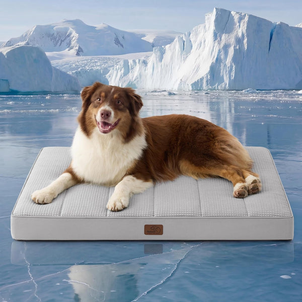 Bedsure Washable Dog Beds Large Sized Dog with Comfy Sherpa, 36X27In Grey | Orthopedic Egg Crate Foam,Comfort Support Flat Rectangle Pet Mat,Non-Slip Bottom,Removable Cover,For Large Breed up to 55 Lbs20