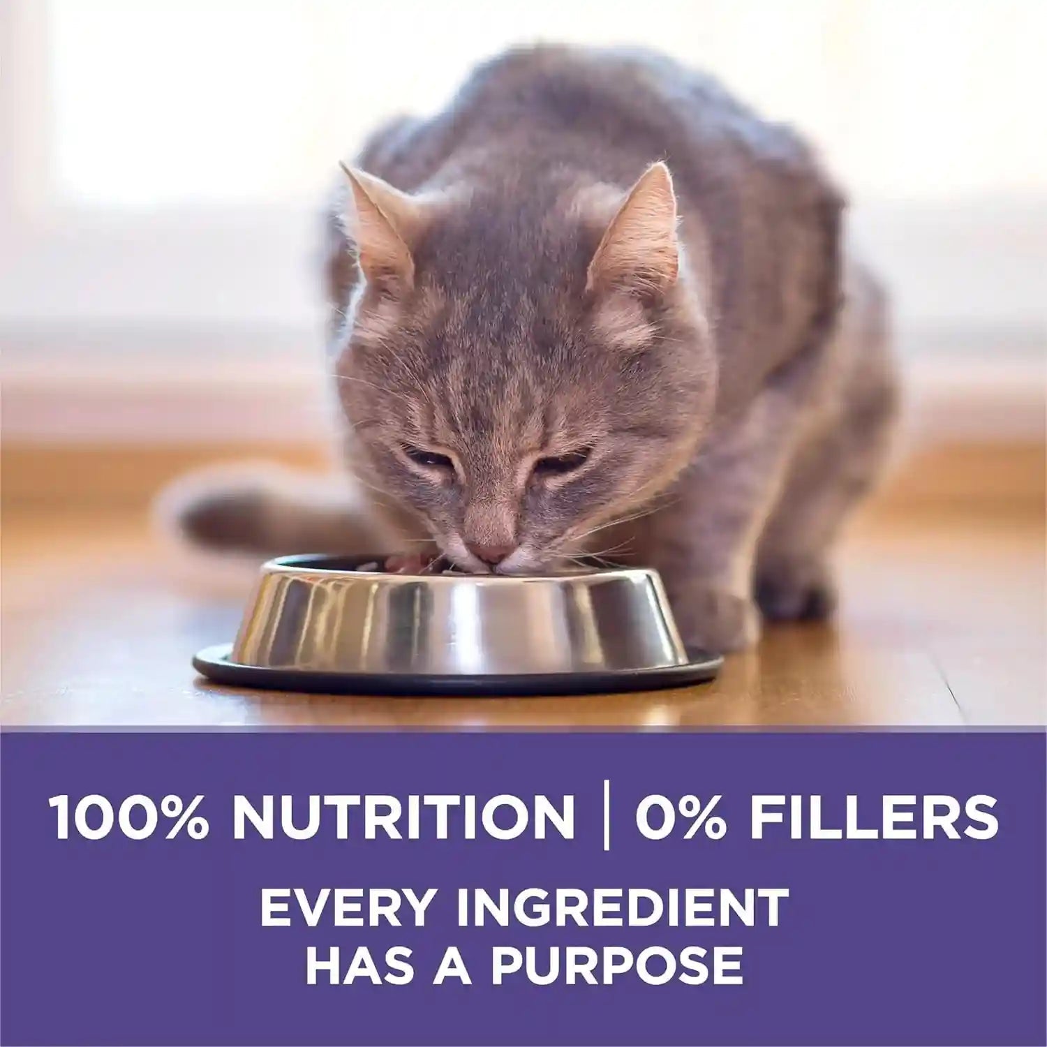 purina-one-natural-cat-food-for-hairball-control-plus-hairball-formula-16-lb-bag