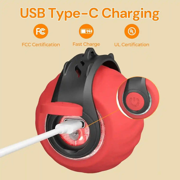 Interactive Cat Toys with Bird Sounds & 3 Speed Modes for Indoor Cats Play | Bird Sounds, 3 Speed Modes, Rechargeable Automatic Rolling, 3 Tails, Fast Charging Ball, for Indoor Cats on Hard Floor Carpet3