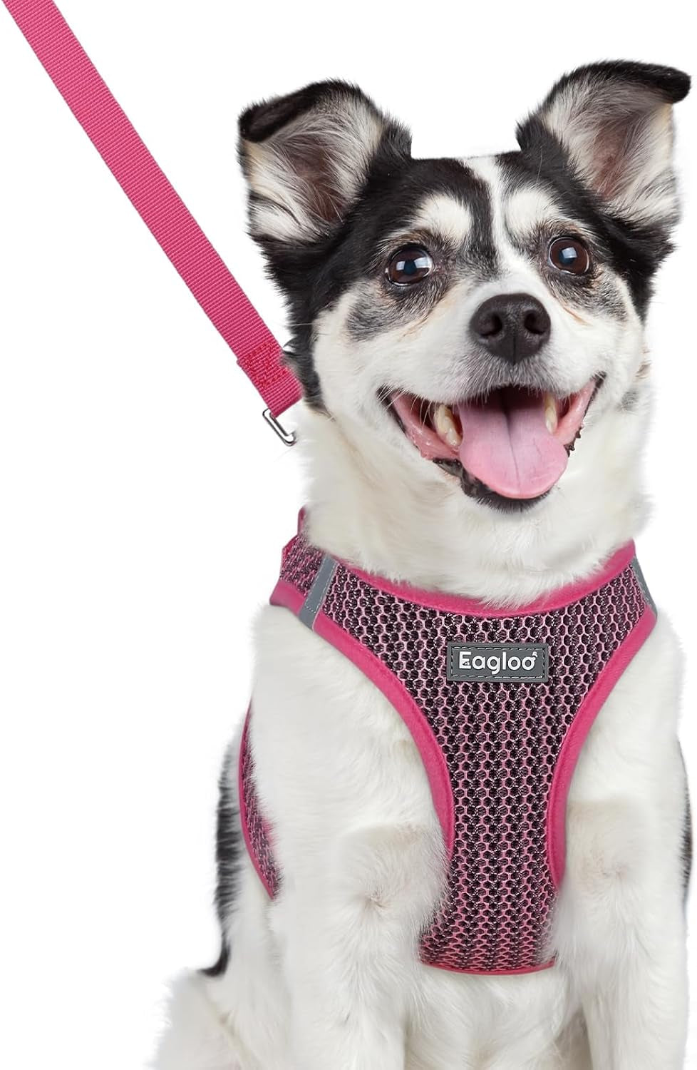 eagloo-small-dog-harness-and-leash-set-step-in-small-sized-puppy-pet-vest-light-soft-breathable-air-mesh-easy-on-and-off-with-hook-loop-reflective-for-safe-walking-pink-s
