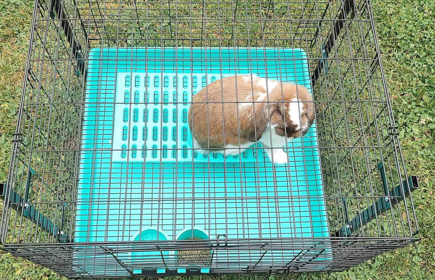 saguaro-acres-rabbit-and-small-animal-cage-resting-mat-for-wire-floored-cages-pack-of-6-pink-blue-teal-purple-grey-and-orange