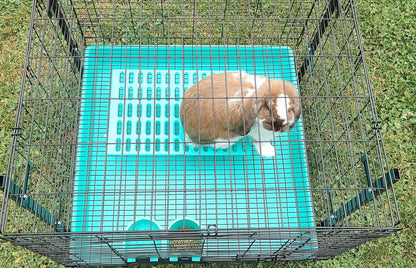 Saguaro Acres Rabbit and Small Animal Cage Resting Mat for Wire Floored Cages - Pack of 6 (Pink, Blue, Teal, Purple, Grey and Orange)2