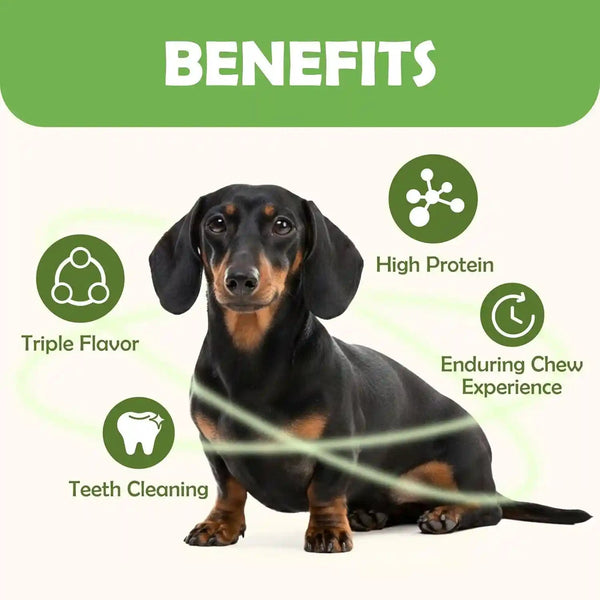 MON2SUN Dog Treats, 5 Inch Triple Flavor Wrapped Rawhide Sticks, 21.16 Oz | 30 Count Pack, Chicken Liver, Duck and Chicken Recipe, Long-Lasting Chew, Support Dental Health, for Small and Medium Dogs4