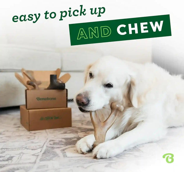 Benebone Small 4-Pack Dog Toys for Aggressive Chewers – under 30 Lbs2