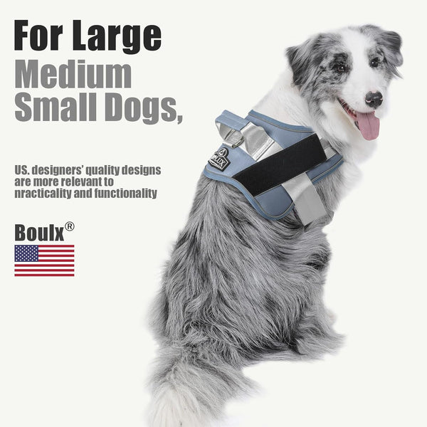 Dog Harness, No-Pull Reflective Dog Vest, Breathable Adjustable Pet Harness with Handle for Outdoor Walking - No More Pulling, Tugging or Choking (Blue, S)5