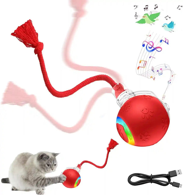 Interactive Cat Toy Ball, Smart Moving Pet Toy for Cats & Dogs | Cat Toys for Indoor Cats | Speedy Tail 2.0 Cat Toy|Cat Teaser Toy|Interactive Motion Activated Cat Toys| Stimulating Cat Toys10