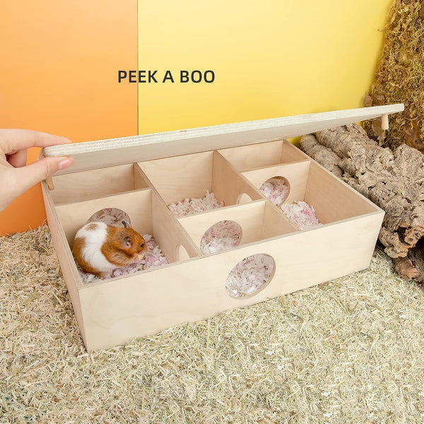 Niteangel Multi-Chamber Hamster House Maze: 2 Entrance 6 Rooms Maze Habitat | No-Disturb Removable Lid - Encourage Pets Hide and Explore Freely Hideout & Tunnel Maze Toys for Hamster Gerbils Mice Lemming4