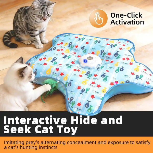 Interactive Cat Toy, Peek-A-Boo Series – Hidden Feather Wand, Rechargeable Indoor Hunting Toy, Squeaky Bird Sound, and Small Fish Pattern Cover2