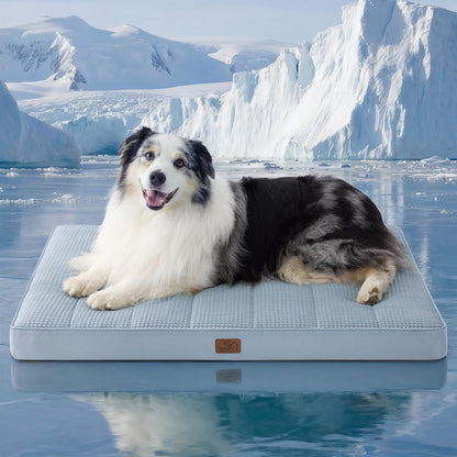 Bedsure Washable Dog Beds Large Sized Dog with Comfy Sherpa, 36X27In Grey | Orthopedic Egg Crate Foam,Comfort Support Flat Rectangle Pet Mat,Non-Slip Bottom,Removable Cover,For Large Breed up to 55 Lbs42