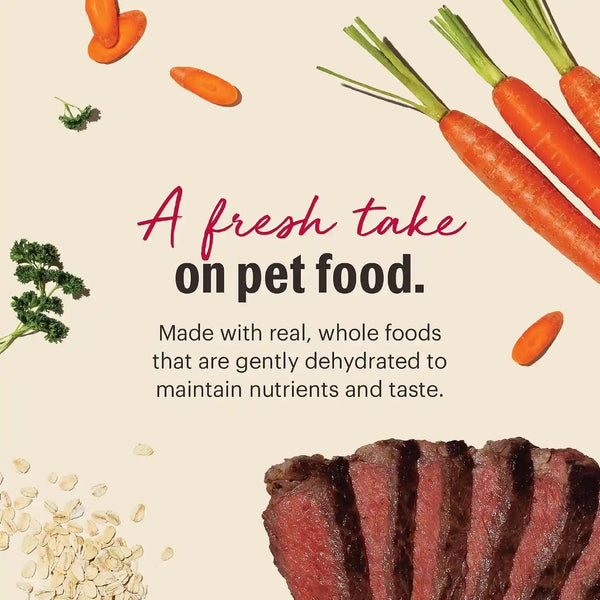 The Honest Kitchen Wholemade Whole Grain Beef Recipe, Human Grade Dehydrated Dog Food, Just Add Water, Supports Digestion, Skin & Coat, Topper for Dry or Wet Dog Food, 10 Lb Box Makes 40 Lbs4