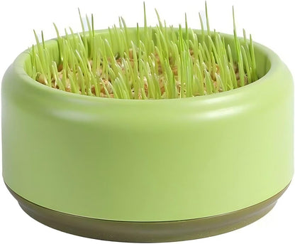 Komorebi Cat-Specific Reusable Hydroponic Herb Growing Box Set-Easy to Use-3 Colour (Seeds Not Included) (Green)1