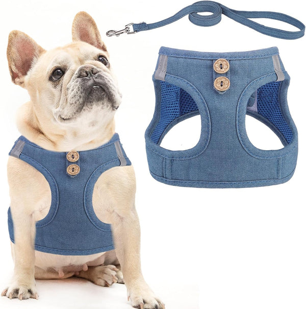 PUPTECK Dog Harness and Leash Set for Small Medium Dogs No Pull Step-In Soft Mesh Puppy Cat Vest Harnesses Reflective at Night, Green S39