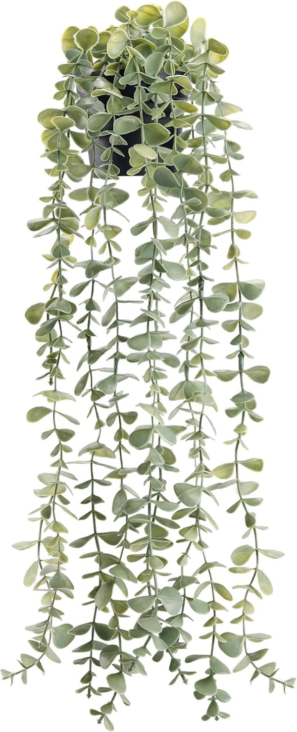 Fake Eucalyptus Hanging Plant for Boho Bathroom Wall Art Decor | Vintage Cascading Greenery Adds Vertical Texture, Atificial Farmhouse Plants Brings Natural Charm to Room, Shelf Decor1