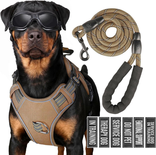 Service Dog Tactical Vest Harness and Leash Set Large Sized Dog Emotional Support- Tactical Dog Harness Training Collar with Name (Black, L)12