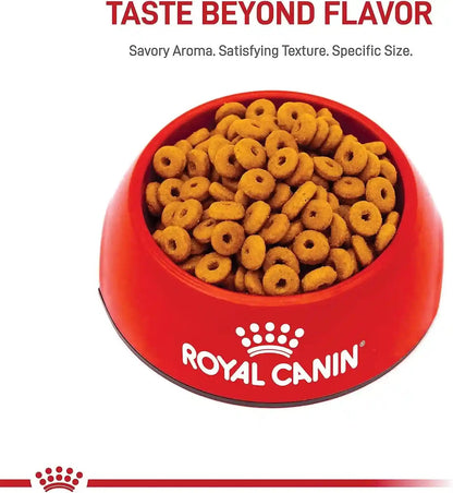 Royal Canin Feline Care Nutrition Digestive Care Adult Dry Cat Food, 6 Lb Bag2