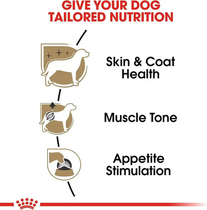 Royal Canin Breed Health Nutrition Poodle Adult Loaf in Sauce Dog Food, 3 Oz (Pack of 6)4