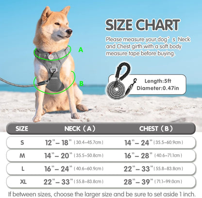 Poypet No Pull Dog Harness and 5 Feet Leash Set, Release on Neck Reflective Adjustable Pet Vest, Front & Back 2 D-Ring and Soft Padded Pet Harness with Handle for Small to Large Dogs(Grey,L)6