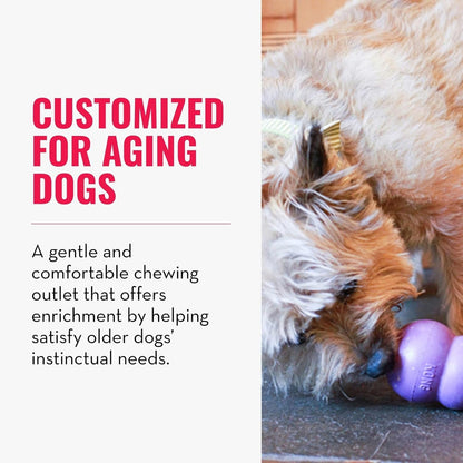 KONG Senior - Dog Toy with Gentle, Natural Rubber - Durable Dog Toy for Older Dogs - Use Treats with Stuffable Chew Toy - Treat Toy for Chewing & Fetching - for Large Dogs2