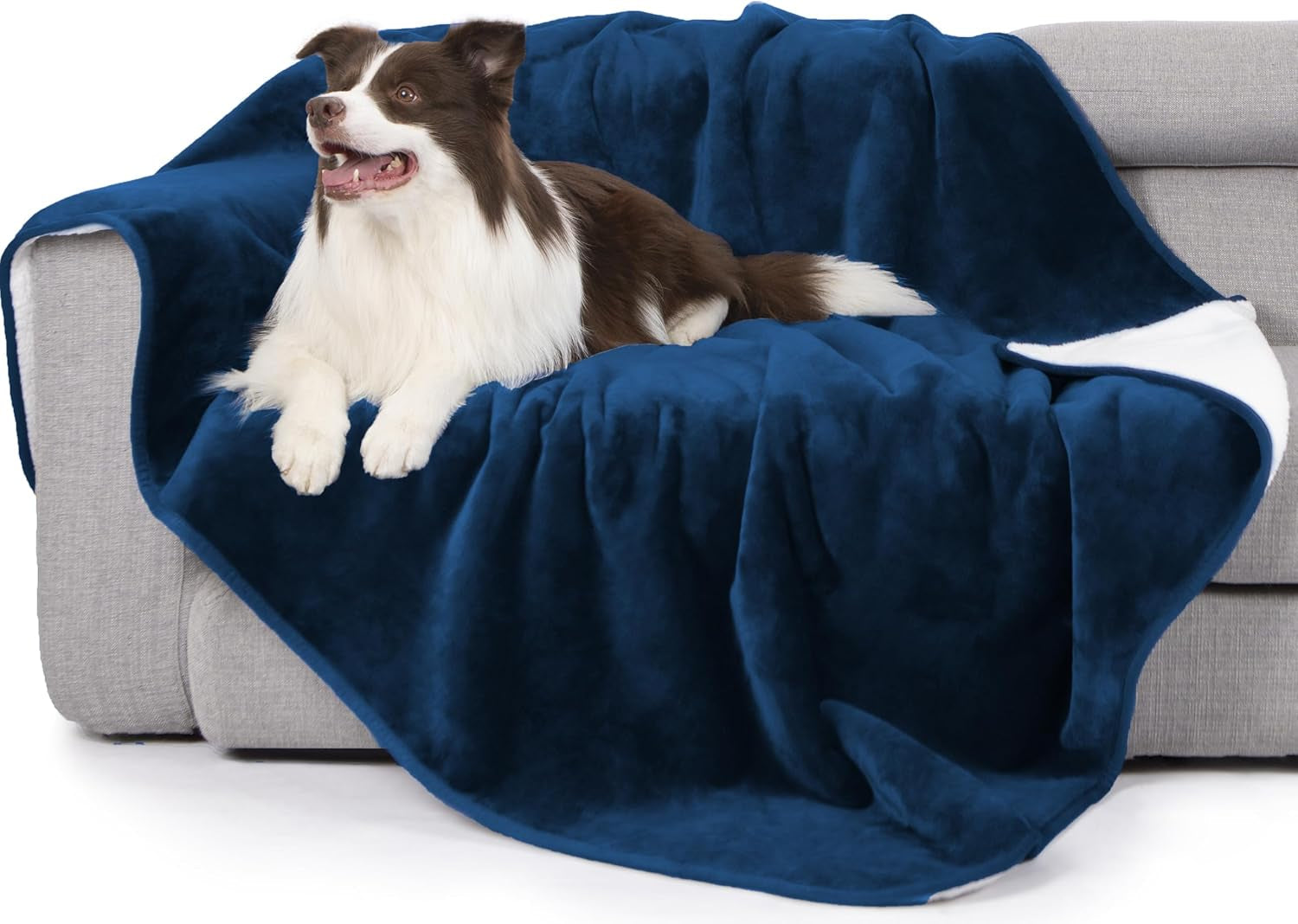 gogobunny-waterproof-bed-blanket-reversible-sherpa-fleece-throw-blanket-for-dog-puppy-cat-furniture-cover-protects-bed-couch-sofa-from-liquid-pee-and-pet-fur-dark-purple-50x60-inches