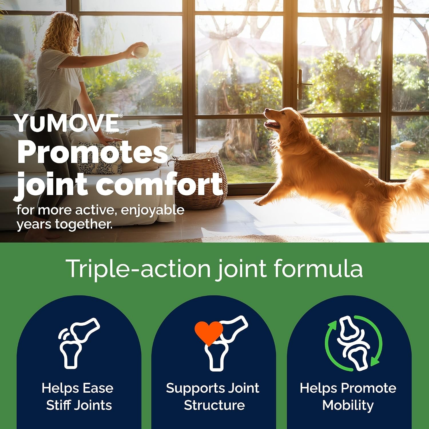 yumove-adult-dog-hip-joint-supplement-chews-green-lipped-mussel-300ct-glucosamine-hyaluronic-acid-omega-3-for-mobility-joint-supplement-barbecue-daily-chews-nasc-certified