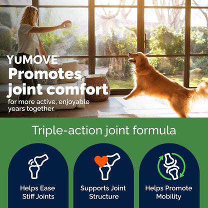 Yumove Adult Dog Hip & Joint Supplement Chews Green Lipped Mussel 300Ct | Glucosamine, Hyaluronic Acid & Omega 3 for Mobility Joint Supplement, Barbecue Daily Chews, NASC Certified2