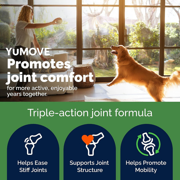 Yumove Adult Dog Hip & Joint Supplement Chews Green Lipped Mussel 300Ct | Glucosamine, Hyaluronic Acid & Omega 3 for Mobility Joint Supplement, Barbecue Daily Chews, NASC Certified2