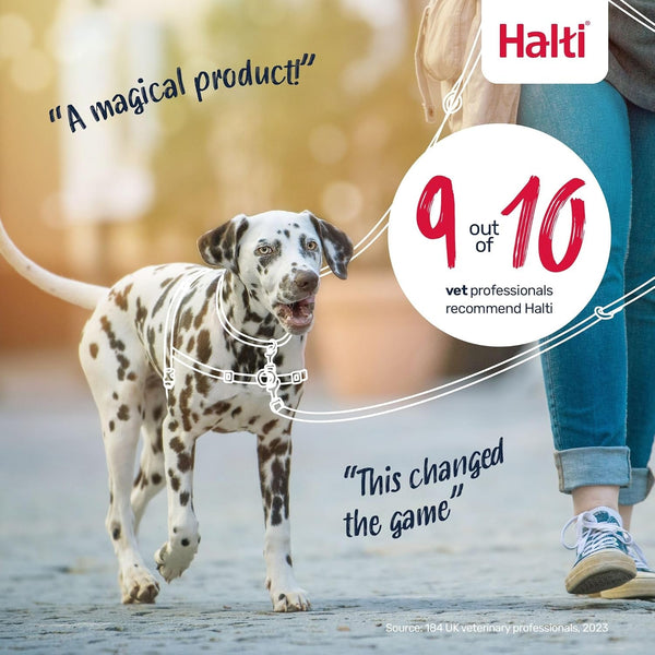 Halti Front Control Harness - Stop Your Dog Pulling on the Leash. Adjustable, Lightweight and Easy to Use. Anti-Pull Dog Training Harness for Medium Dogs (Size M) | Dog Harness to Stop Pulling on the Leash | Anti-Pull Training Aid | Front Leading No Pull Harness for Medium Dogs6