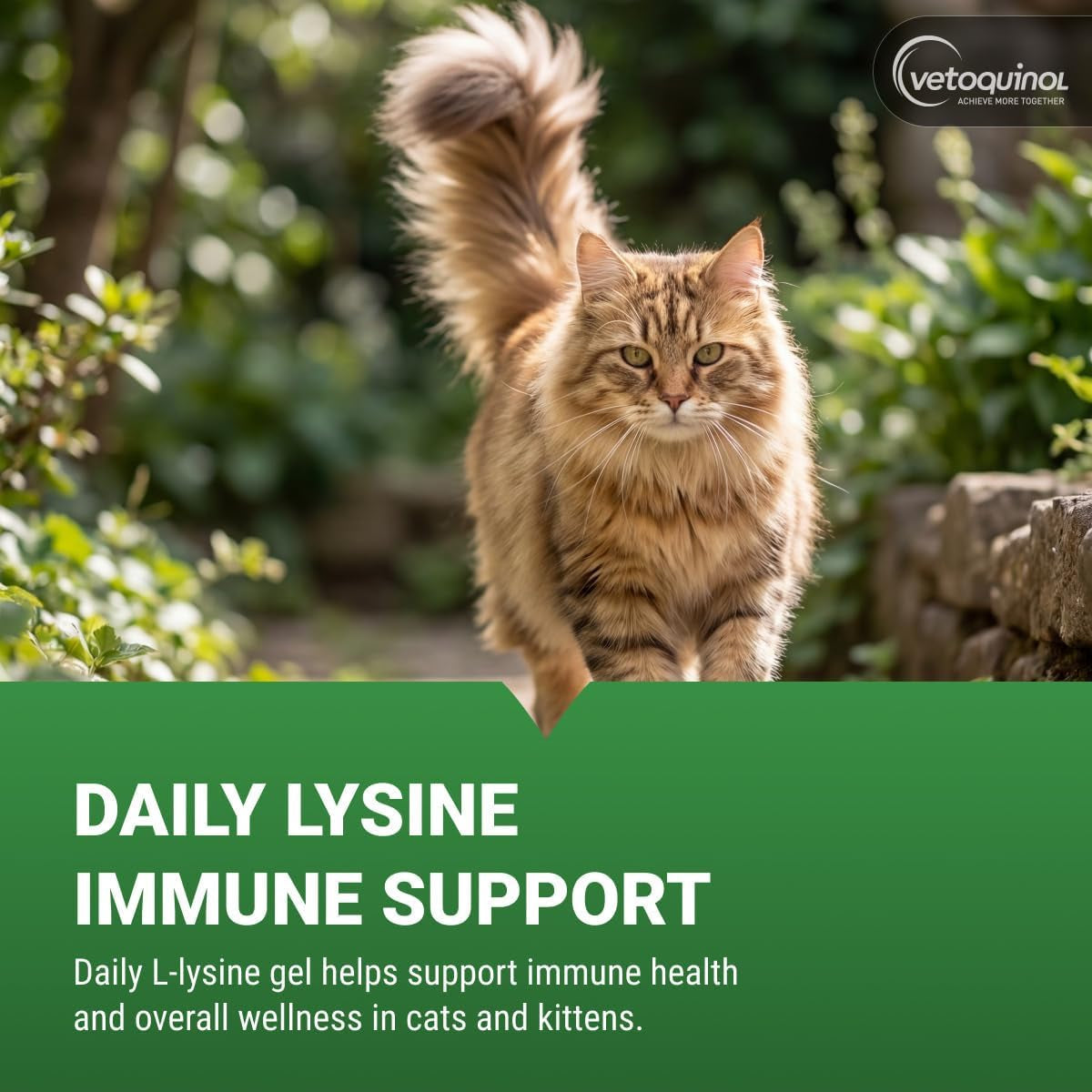 vetoquinol-viralys-lysine-supplement-for-cats-kittens-supports-eye-wellness-respiratory-health-immune-strength-flavored-oral-gel-for-easy-feeding-daily-use-for-picky-eaters-5oz