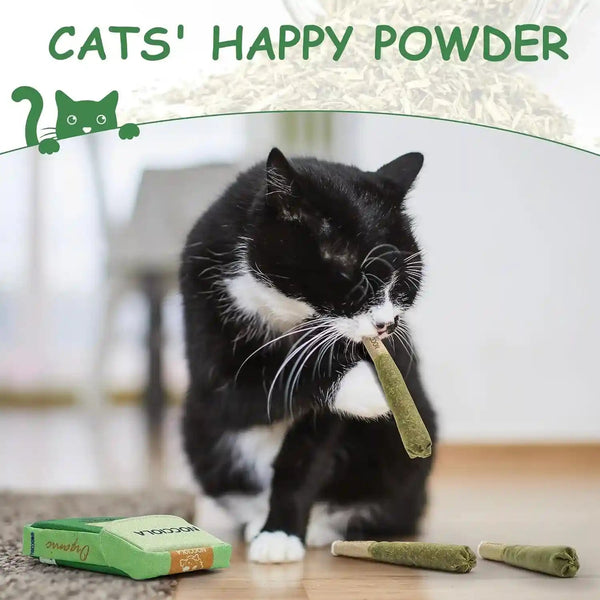 Nocciola 3 Pack Catnip Toys for Cats, Funny Cat Toys Filled with 100% Pure Organic Catnip, Safe Kitten Teething Chew and Kicker Toys, Stress Relieving Fun for Indoor Cats4