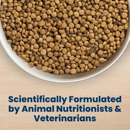 Blue Buffalo Life Protection Formula Small Bite Chicken Dry Dog Food, 15 Lb | Smaller Kibble for Easier Chewing, Real Chicken #1 Ingredient, Supports Immunity with Antioxidant-Rich Lifesource Bits6