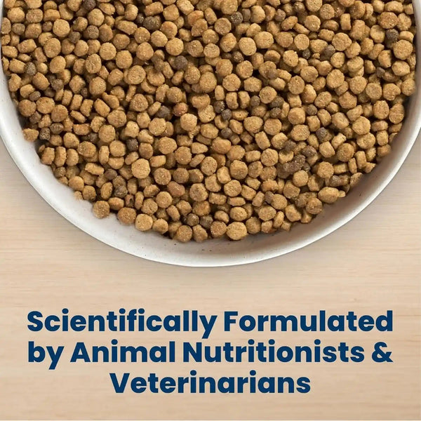 Blue Buffalo Life Protection Formula Small Bite Chicken Dry Dog Food, 15 Lb | Smaller Kibble for Easier Chewing, Real Chicken #1 Ingredient, Supports Immunity with Antioxidant-Rich Lifesource Bits6