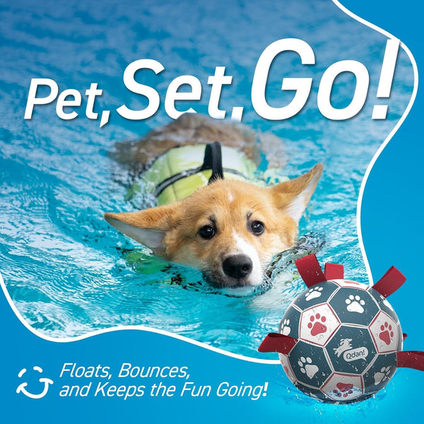 QDAN Dog Balls, 6 Inch Dog Soccer Ball with Straps, Herding Balls for Dogs | Outdoor Dog Toys Balls for 20-40 Lb Dogs, Puppy Ball to Keep Them Busy, Dog Pool Water Play Toy, Puppy Birthday Gifts6