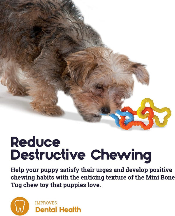 Petstages Mini Bone Tug Puppy Chew Toy5