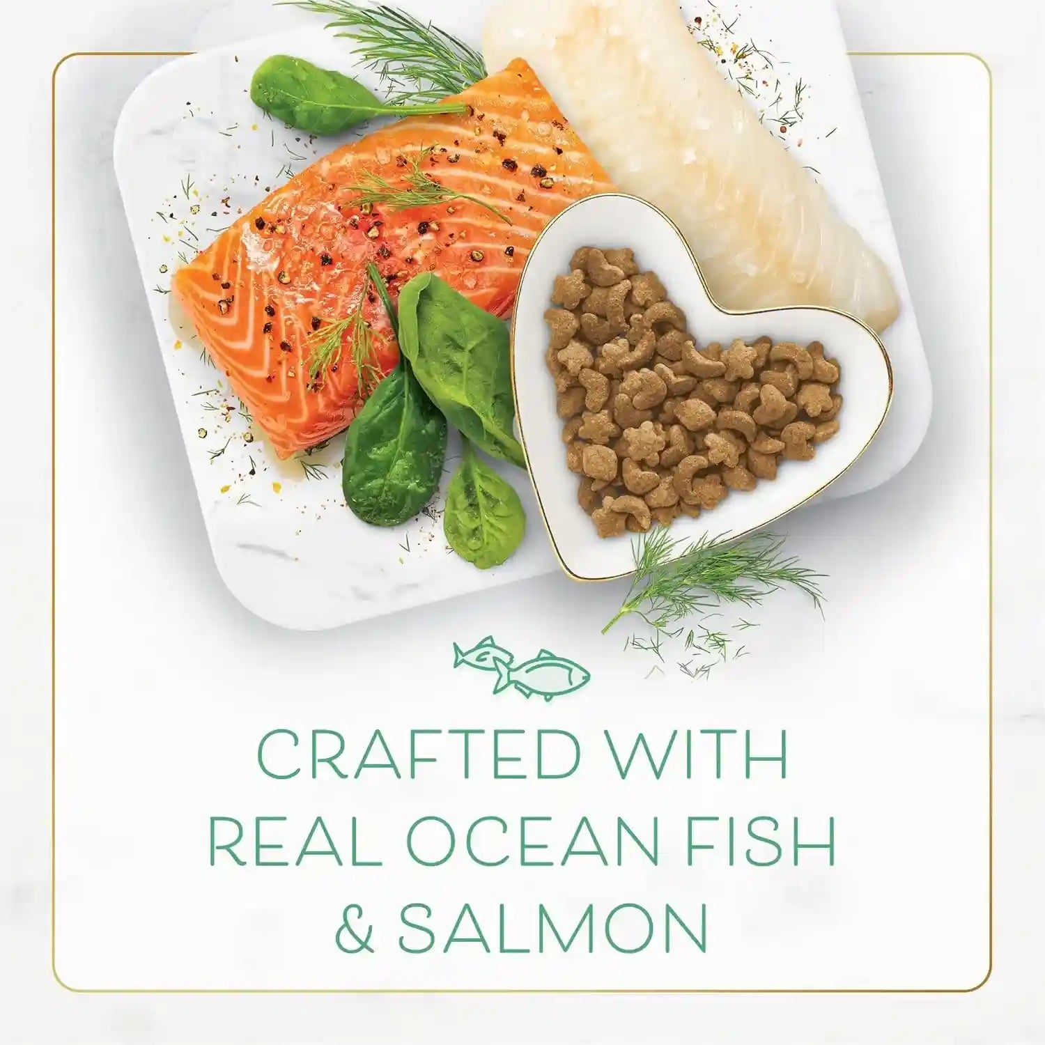 purina-fancy-feast-dry-cat-food-with-ocean-fish-and-salmon-3-lb-bag