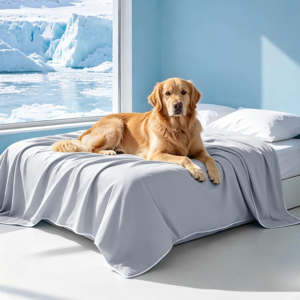 Mora Pets Premium Cooling Blanket for Dogs, Q-MAX>0.5 Washable Breathable Cooling Mat, Lightweight Soft Summer Pet Throw Blanket, Furniture Protector Bed Couch Cover for Small Dog Cat, Gray, 29X4012