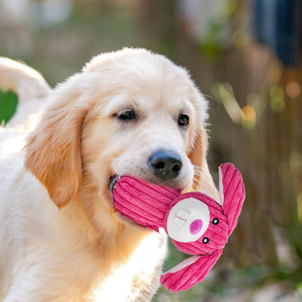MRSOHRET 5 Pack Dog Toys Squeaky, Tough Stuffed Plush Puppy Chew Toys for Teething, Durable Plush Dog Toy for Large Medium Small Breed to Keep Them Busy7