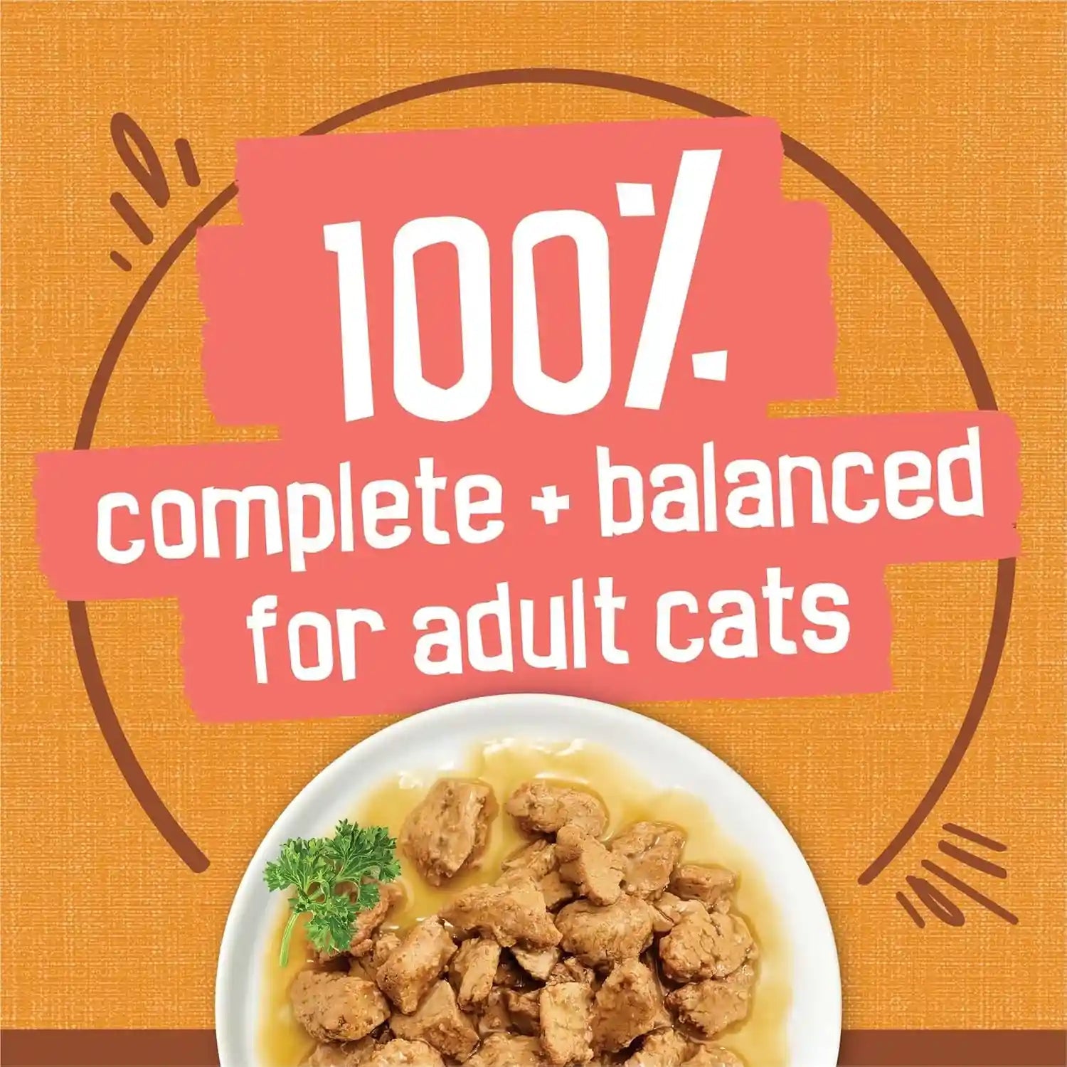 purina-friskies-extra-gravy-wet-cat-food-chunky-chicken-in-savory-gravy-pack-of-24-5-5-oz-cans