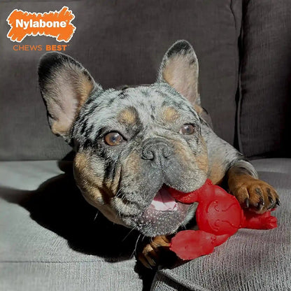 Nylabone Power Chew Lobster Dog Chew Toy, Filet Mignon Flavor, Small | Durable Dog Toys for Aggressive Chewers, Long Lasting, Discourages Destructive Chewing, for Dogs up to 25 Lbs3