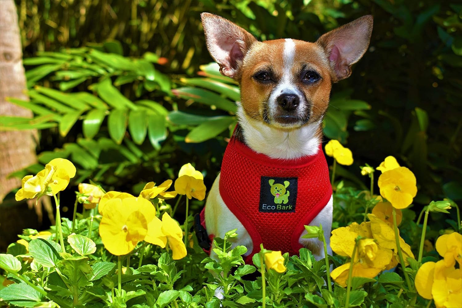 ecobark-dog-harness-soft-mesh-over-the-head-vest-harness-red-small-luxurious-eco-friendly-no-pull-no-choke-design-padded-breathable-body-halter-anti-rub-for-puppy-toy-small-breeds